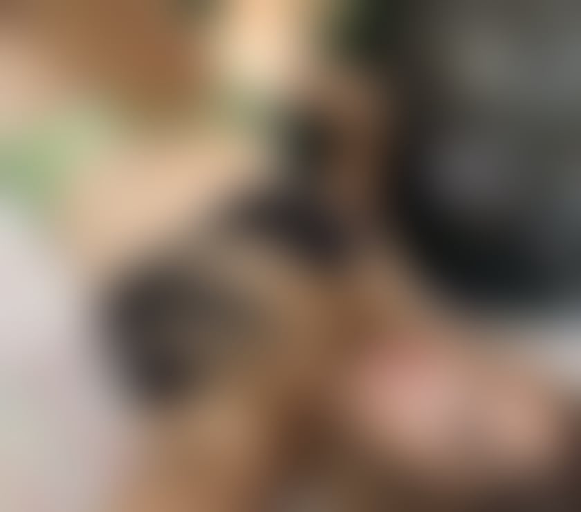 Escorts Belfast Belfast City Centre (South) - Belfast - Photos for 🇧🇷Alejandra LUXURY GIRL🍾AVAILABLE 24H❣