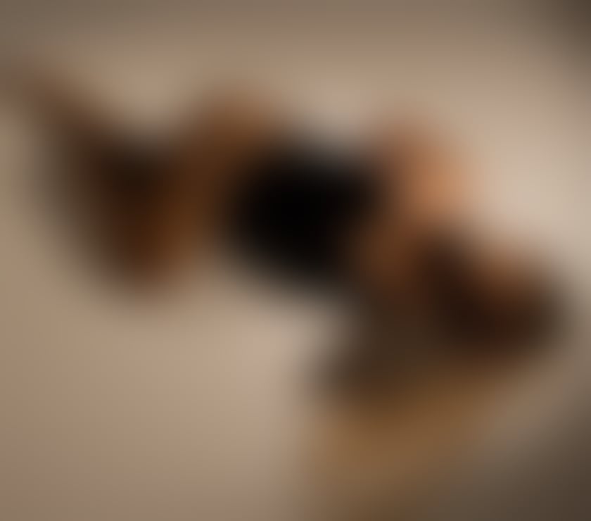Escorts South Yorkshire Barnsley - Photos for ANNA NEW ÎN TOWN 🩷 OUTCALL ONLY