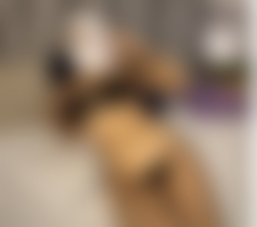 Escorts Stockport Town Centre Stockport - Photos for High-class 🐆📞Incall Outcall 📞