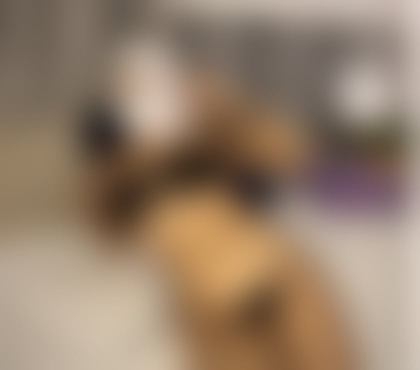 Escorts Greater Manchester Stockport - Photos for High-class 🐆Incall outcall 📞