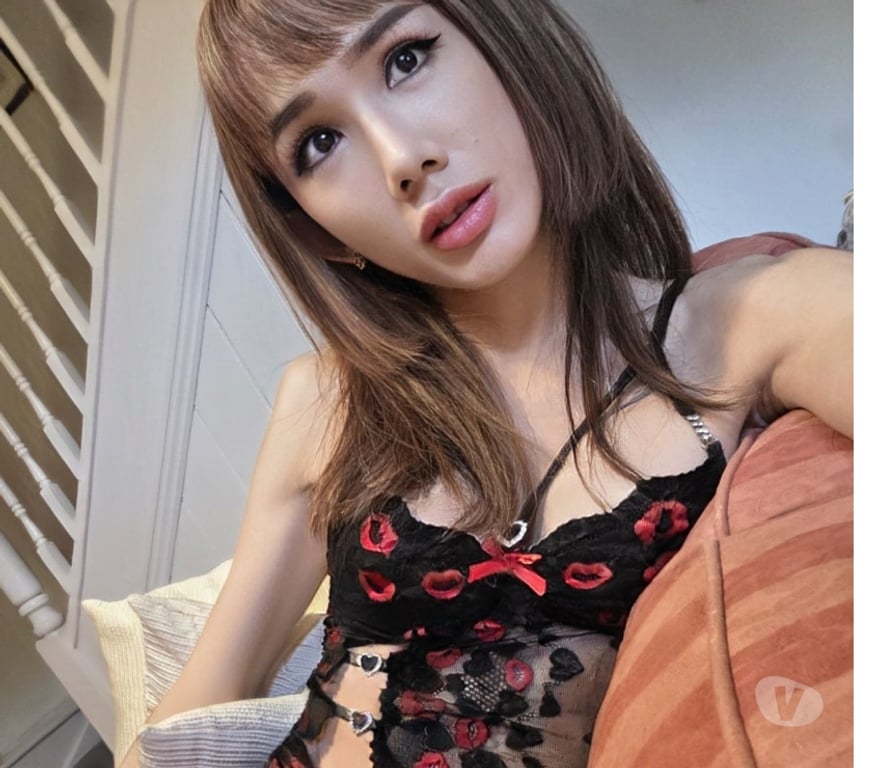 Escorts Cambridgeshire Cambridge - Photos for TS Zani thai LADYBOY TRANSGENDER in Cambridge