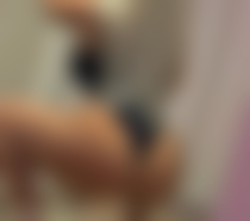 Escorts Cardiff Cardiff City Centre - Cardiff - Photos for I am friendly LADY, who seeks to offer the ultimate experie