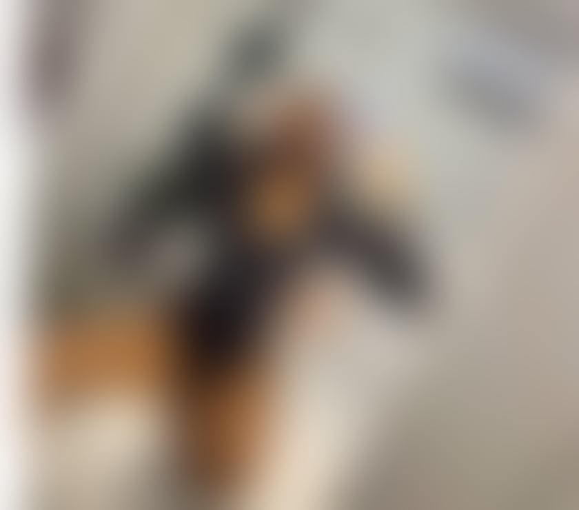 Escorts Devon Plymouth - Photos for michelle new in town party girl incall and outcall