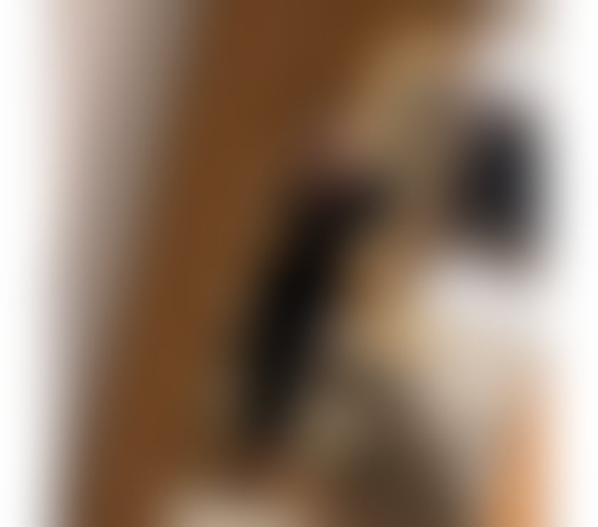 Escorts North London Bruce Grove Station - North London - Photos for SEXY, AND ATTRACTIVE GIRL READY JUST FOR YOU ❤️‍🔥
