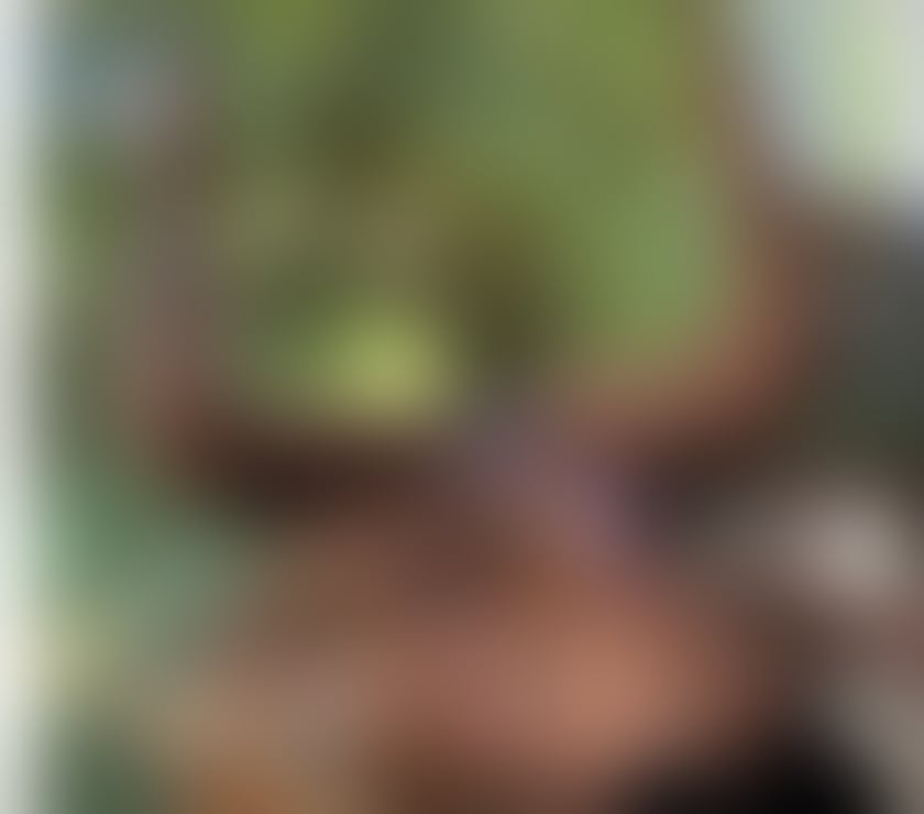 Escorts Fife Cadham - Fife - Photos for Sexy lily 💋🥰❤️💖