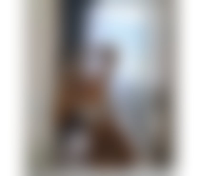 Escorts Hertfordshire Watford - Photos for REAL PICS, HOT AND SEXY BRUNETTE READY FOR YOU 🔥💋