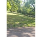 Thornton Heath - Croydon — 🌳 FRINEIA IN AND OUT - CARMEET - OUTDOOR - PARK- SERVICE