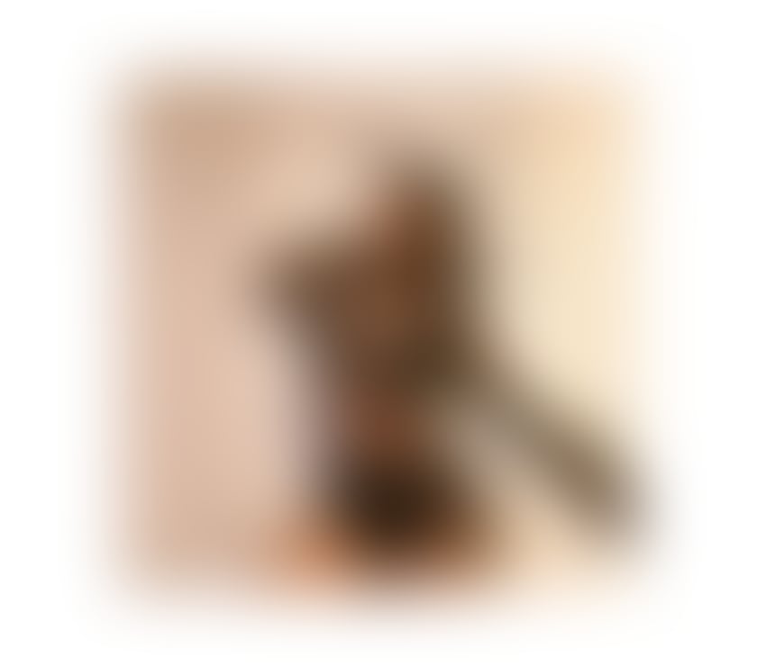 Trans Escorts Swansea - Wales Swansea City Centre - Swansea - Photos for Amalia Just Arrived Ring Me Premium LadyB