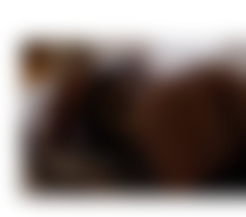 Escorts West Midlands Birmingham - Photos for Hello new and recurring gentleman guests lm Hungary 45