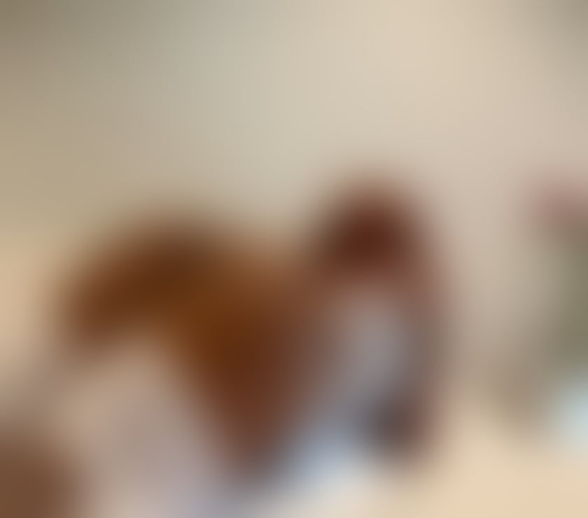 Trans Escorts West Midlands Coventry - Photos for Ayla black Doll 22 cm versatile