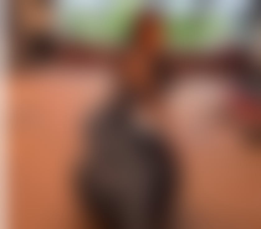 Escorts West Midlands Wolverhampton - Photos for HOTTEST MADSON 😈 PARTY GIRL 🥳