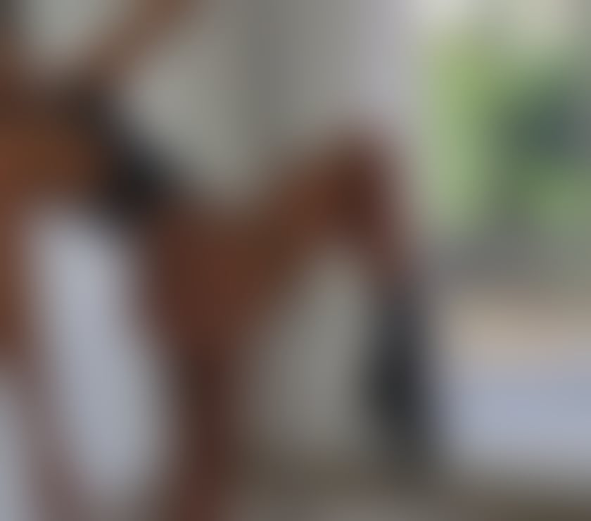 Escorts West Yorkshire Bradford - Photos for 💯Nora💯Real best bj