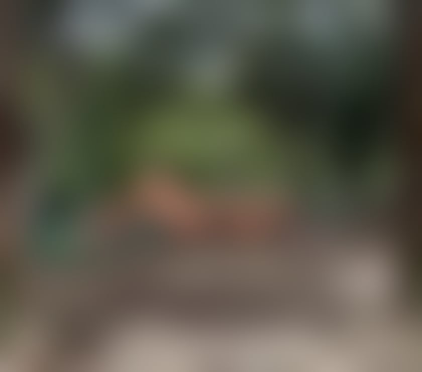 Escorts Greater Manchester Manchester - Photos for Brazilian Angel