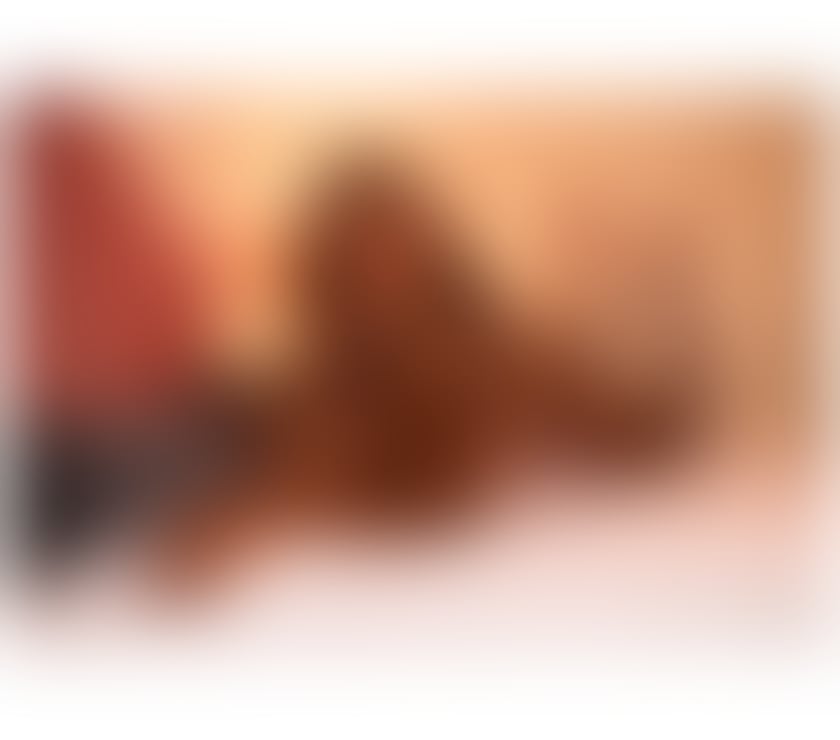 Escorts Hampshire Basingstoke and Deane - Photos for Best Girl With Quality OWO.