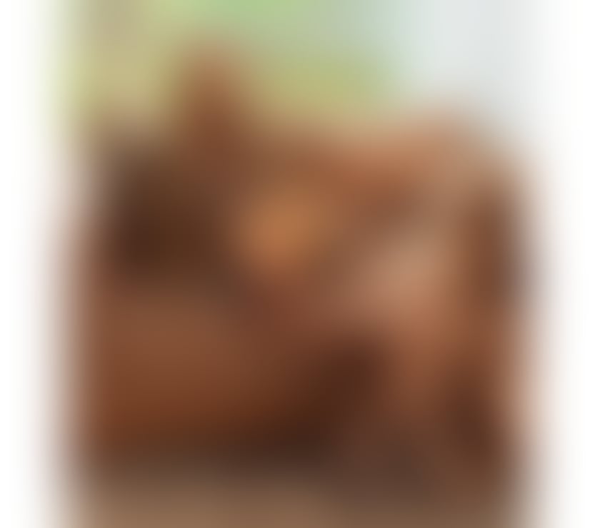 Escorts Greater Manchester Manchester - Photos for ️‍🔥 KIRIA GFE F BRAZIL, I love long sessions. xx