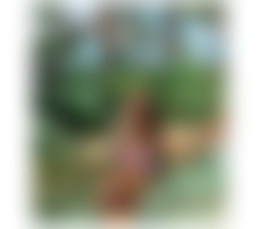 Escorts Hampshire Rushmoor - Photos for Hello love, i am Juju