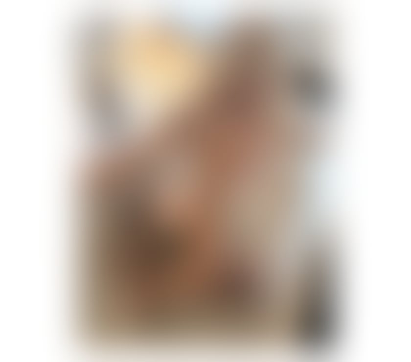 Trans Escorts Leicestershire Leicester - Photos for Lux xxl top verst big girl
