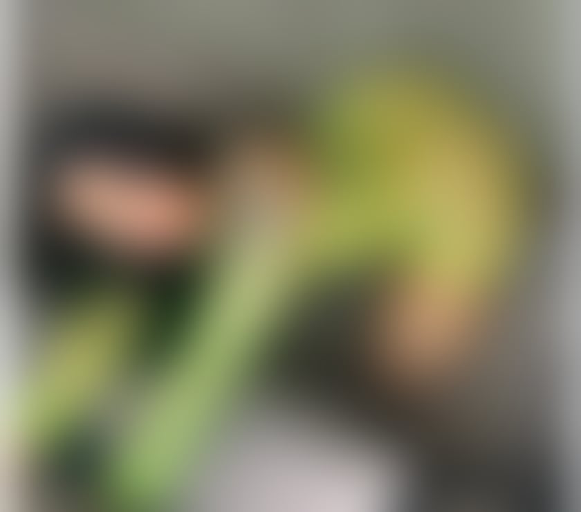 Escorts Greater Manchester Bolton - Photos for BEBEL BRAZILIAN 🇧🇷