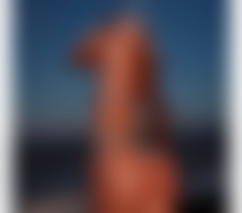 Sutton Town Centre - Sutton — GFE BEST SERVICE ❤️ ✨️ 100% REAL NO RUSH