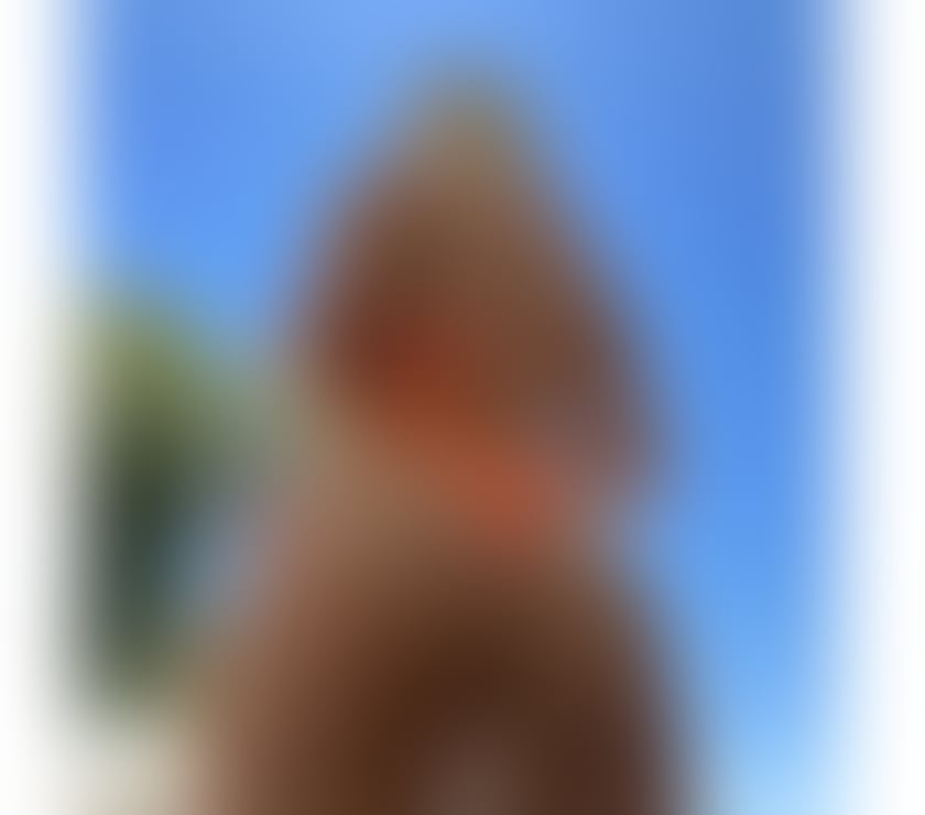 Escorts Lincolnshire Boston - Photos for 🔥MONIKA💦 PORN STAR🔝PARTY horny-princess