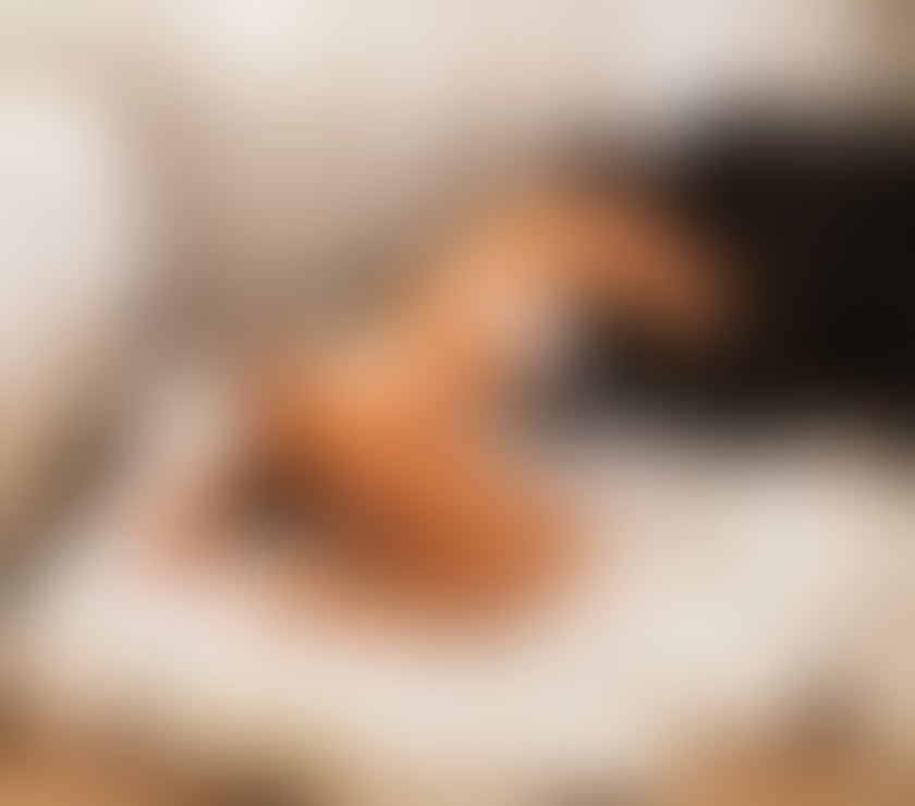 Escorts York York City Centre - York - Photos for 🇧🇷REAL PHOTOS 🔥SEXY GIRL 👿💋NO RUSH 💯