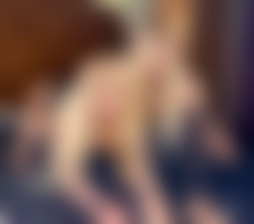 Trans Escorts West Sussex Crawley - Photos for TS NAOMI SAVAGE QUEEN TOP