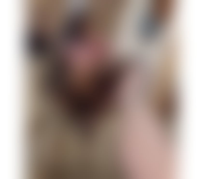Escorts Greater Manchester Tameside - Photos for 👑LESLIE🔥PARTY GIRL🥳REAL‼️LET'S FUNN