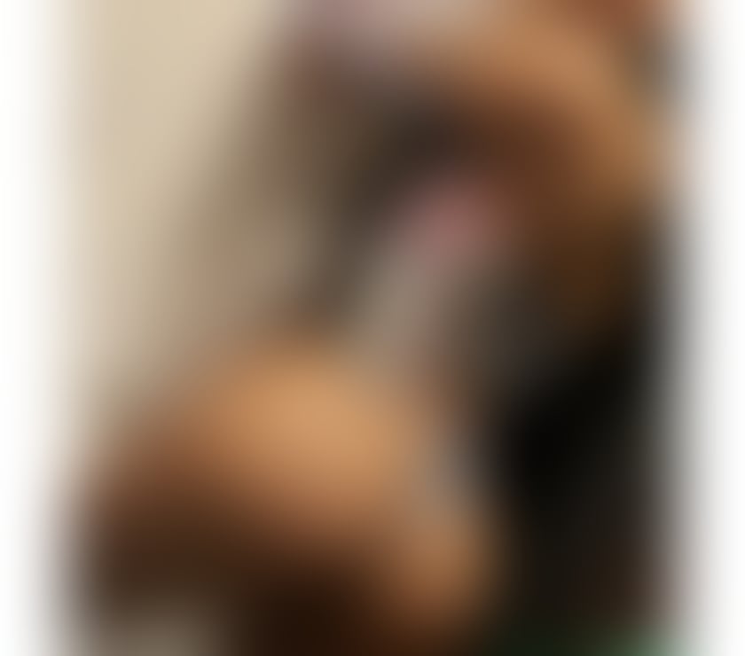 Escorts North London Tottenham Hale - North London - Photos for 🔥 IN CITY 🇧🇷 CATIA -BRAZILIAN 💯 % REAL!!