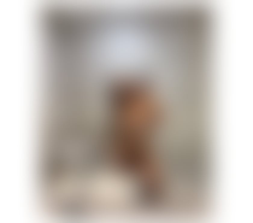 Escorts Worcestershire Worcester - Photos for NEW FRANCESSCA👄PARTY GIRL🍾REAL PICS