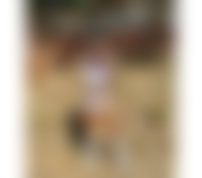 Trans Escorts Dorset Bournemouth, Christchurch and Poole - Photos for Alana Fidelis - Brazilian