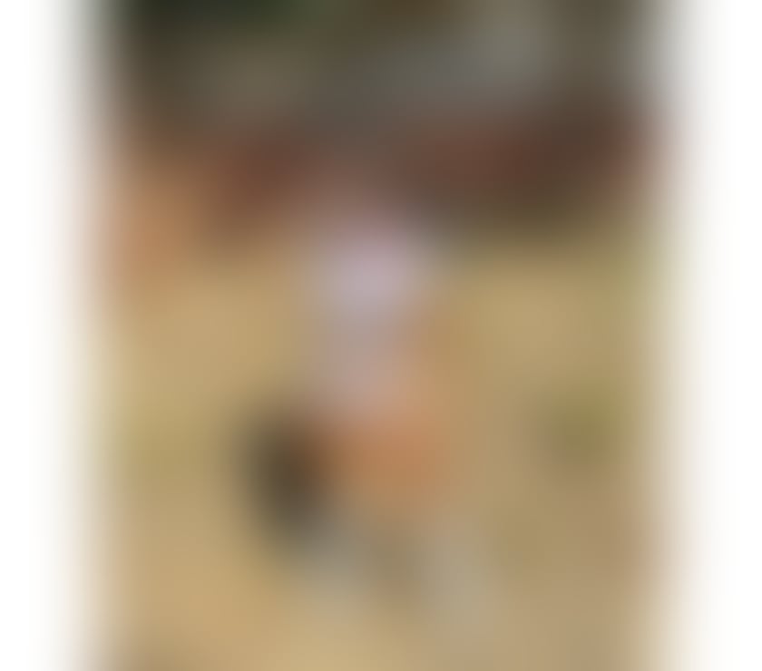 Trans Escorts Dorset Bournemouth, Christchurch and Poole - Photos for Alana Fidelis - Brazilian