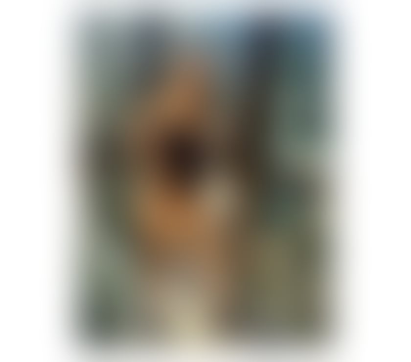 Escorts North London Turnpike Lane - North London - Photos for No Rush Full Service 💯Real Pics 📸