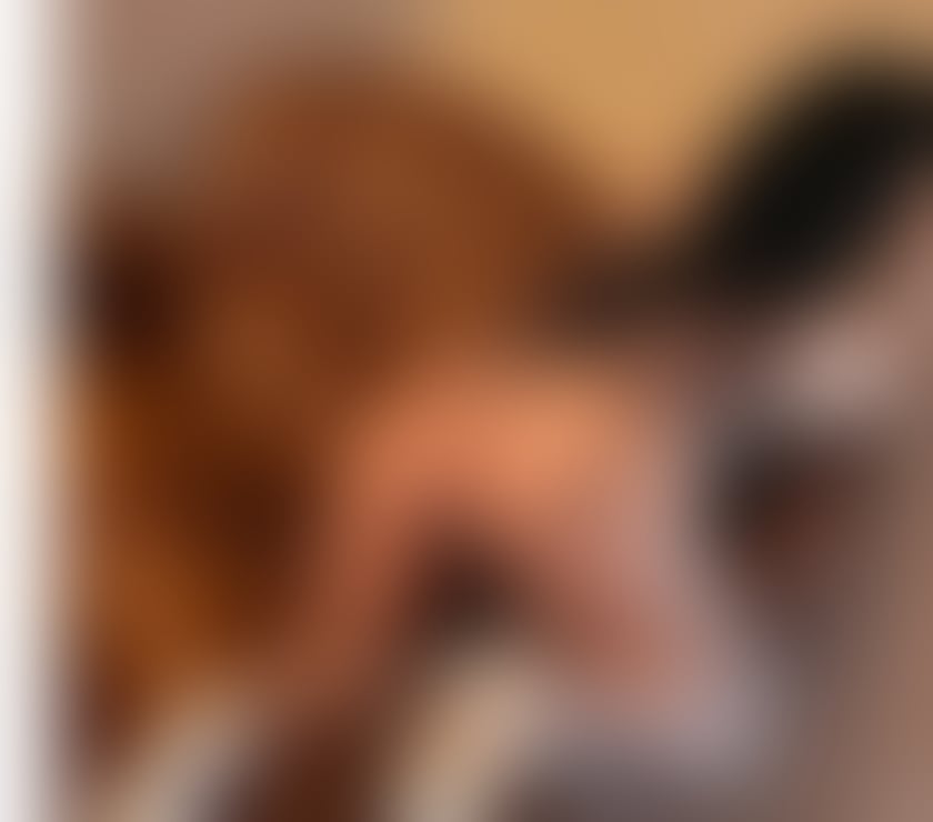 Escorts Lancashire Pendle - Photos for Sara New Best service party girl 🥂