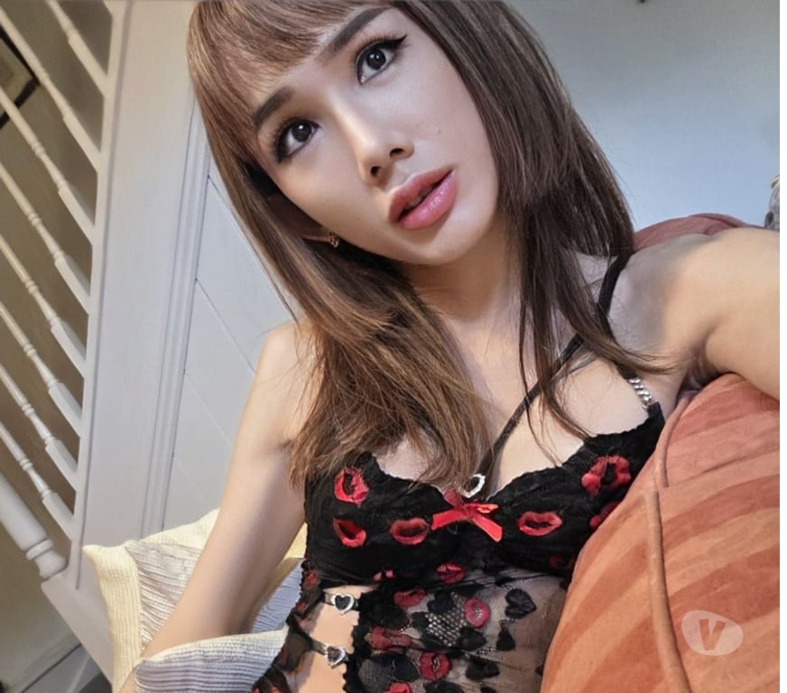 Escorts Lincolnshire Boston - Photos for My name Zani thailadyboy in town Boston visit only 1week