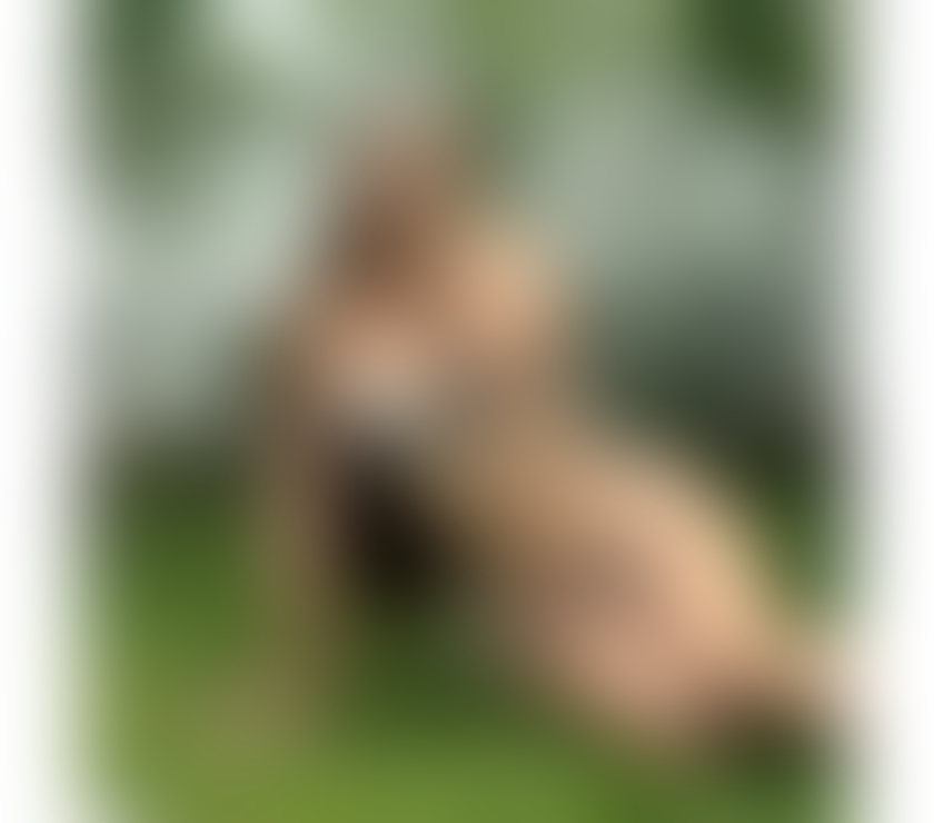 Escorts Leicestershire Leicester - Photos for 🩷JOJO🩷No rush services🩷GFE🩷