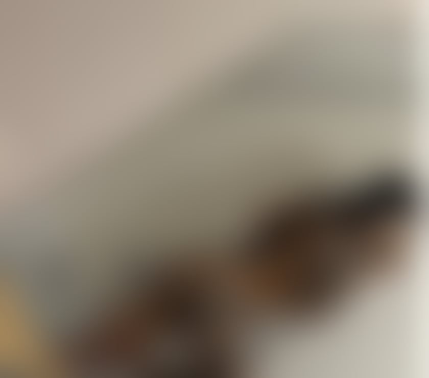 Escorts West Yorkshire Wakefield - Photos for Mia new girl💯party🍾🥂no rush‼️domination🔞