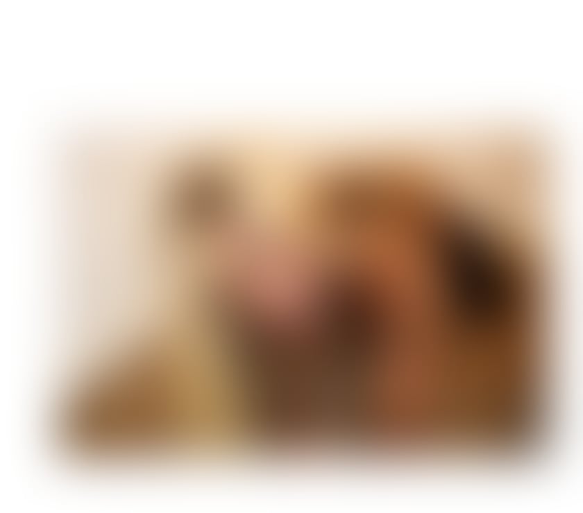 Escorts Central London London Bridge Station - Central London - Photos for LONDON 🍾🔝🎵🎶🍾🥂🥳 LUANNA