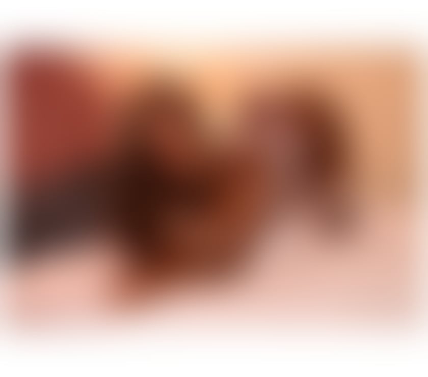 Escorts Cornwall Newquay - Cornwall - Photos for Good Quality Service