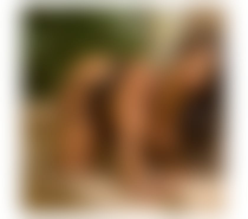 Escorts North London Upper Edmonton - North London - Photos for HOT GIRL 🇧🇷🩷 IN EDMONTON N18 ✨ FROM £40 🌸🦋
