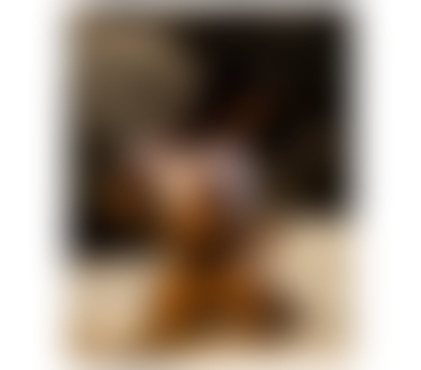 Escorts North London Edmondton Green Station - North London - Photos for 🔥HOT BRAZILIAN🇧🇷 IN EDMONTON✨ FROM £40 🌸🦋