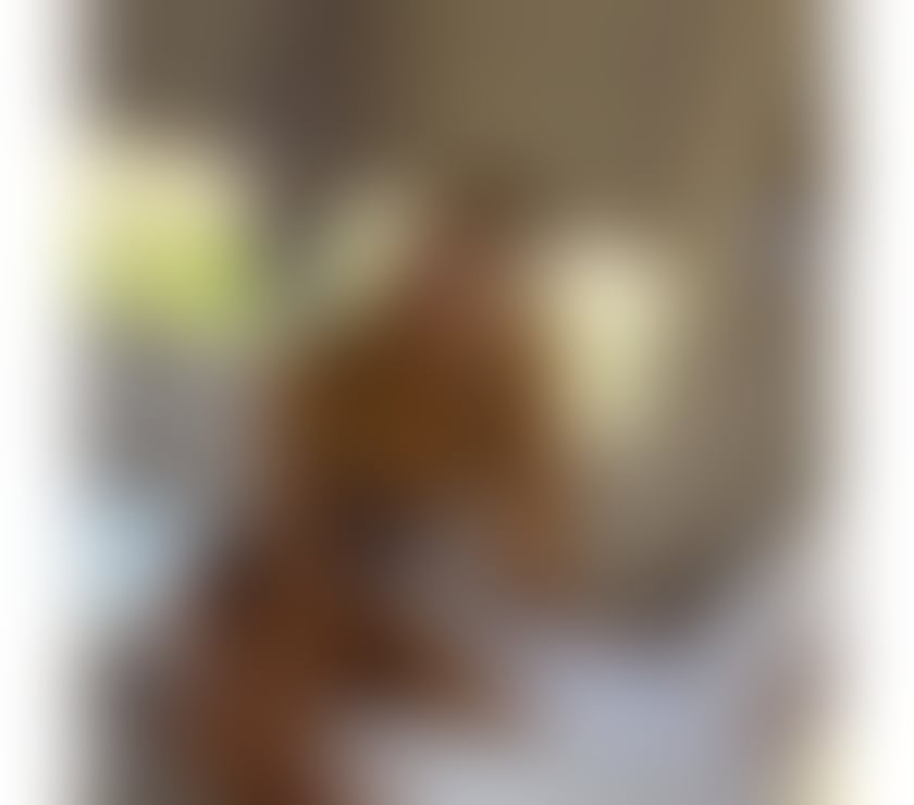 Escorts Leicestershire Leicester - Photos for Just arrived! Allice new blonde♥️party girl🥂