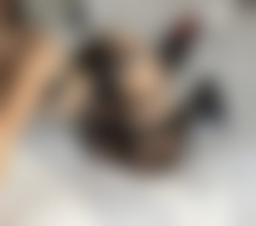 Escorts Worcestershire Redditch - Photos for Hi I'm Jasmin New party girl in town only outcall 🥂