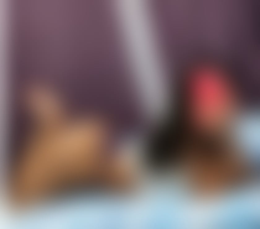 Escorts Essex Harlow - Photos for HOT BABE💋ONLY OUTCALL❤️PARTYYY💯💥