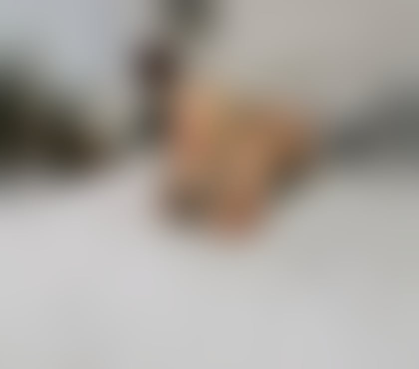 Escorts Belfast Belfast City Centre (South) - Belfast - Photos for Sweet Molly🩷 fresh NEW in the town💋