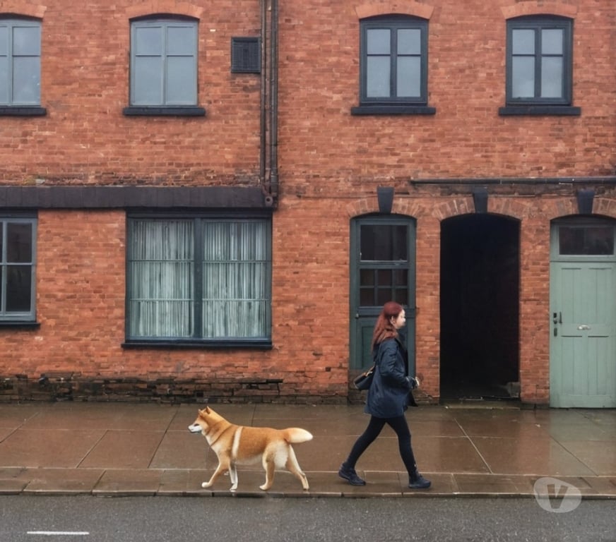 part time jobs Greater Manchester Manchester - Photos for Pet sitters and dog walkers needed - Manchester area