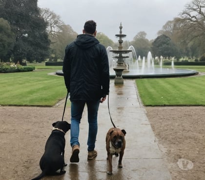 Part Time Jobs | Work from Home Glasgow City Centre Glasgow - Photos for Flexible dog walking work in Glasgow - set your own rate