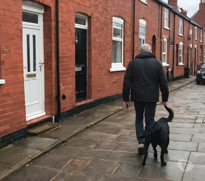 Part Time Jobs | Work from Home Leeds City Centre Leeds - Photos for Leeds dog walkers wanted - flexible self-employed work