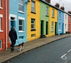 Bristol City Centre - Bristol — Dog walking and pet sitting work available in Bristol