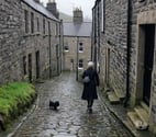 Edinburgh dog walkers and pet sitters - your own hours