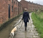 Dog walker wanted in Birmingham - pick your own hours